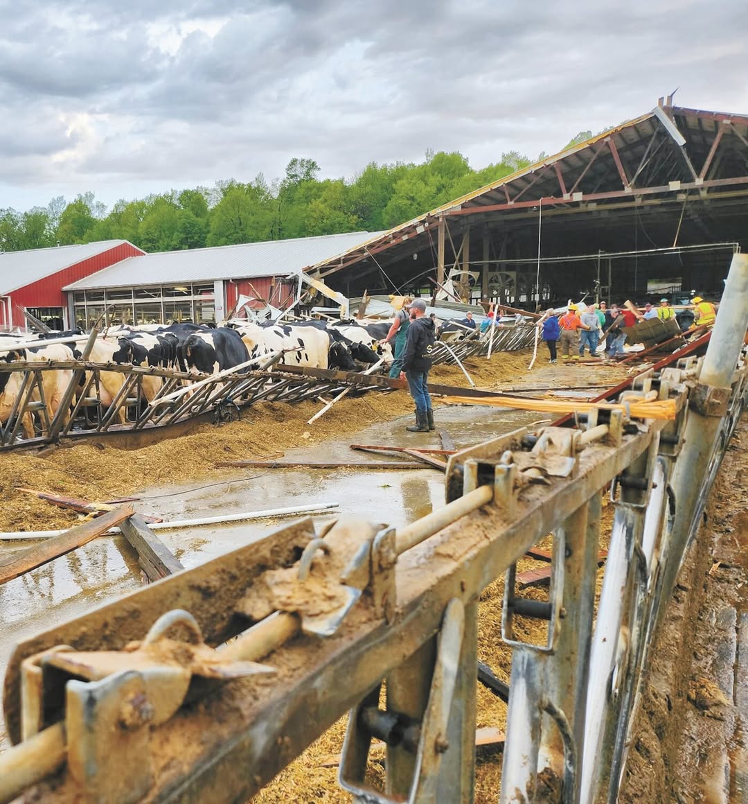 Wisconsin Dairy Farms Rally After Tornado Outbreak